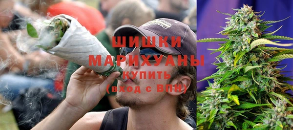 твердый Арсеньев