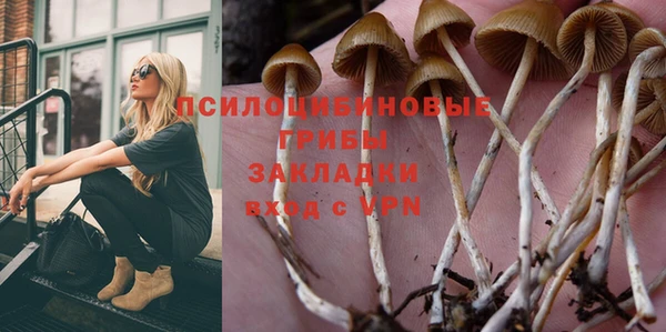 марки nbome Аркадак